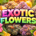 Exotic Flowers